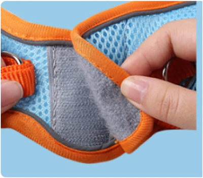 Reflective Adjustable Mesh Dog Harness with Leash – Large Size for Big Pets