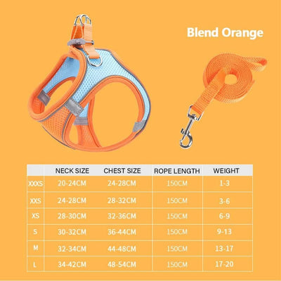 Reflective Adjustable Mesh Dog Harness with Leash – Bright and Safe