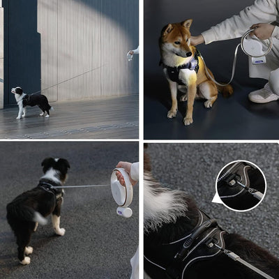 10ft LED Retractable Dog Leash, 360° Tangle-Free, with Hands-Free Option, Poop Bag Holder, and Anti-Slip Handle. Suitable for Dogs up to 110lbs (White)