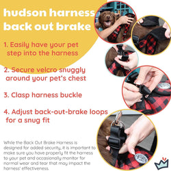 Adjustable Mesh Dog Harness with Leash – Lightweight and Comfortable