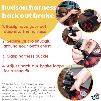 Adjustable Mesh Dog Harness with Leash – Lightweight and Comfortable