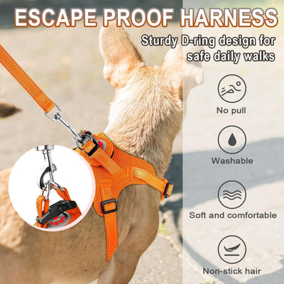 Reflective Adjustable Mesh Dog Harness with Leash – Bright and Safe